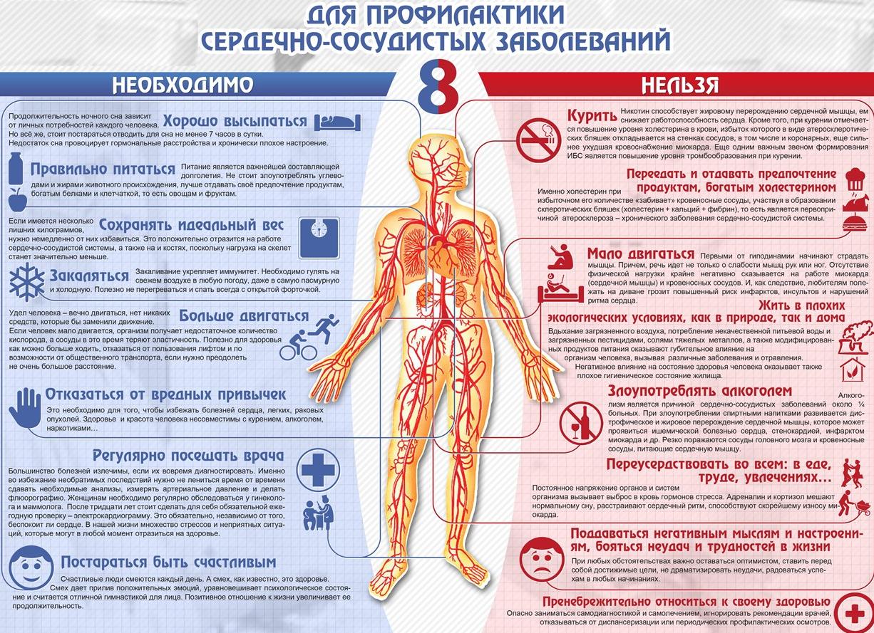 ​Профилактика сердечно-сосудистых нарушений и атеросклероза — Портал Консультантов 