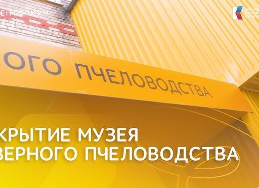 ТЕНТОРИУМ открыл музей пчеловодства