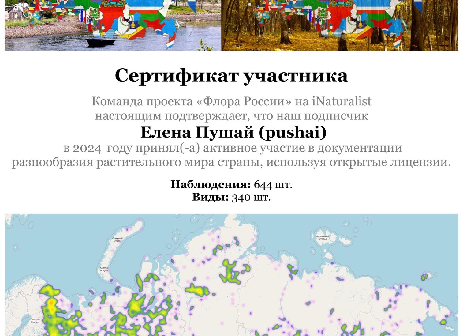 МЛМ в России 21 год.</p>
<p>Подводим итоги