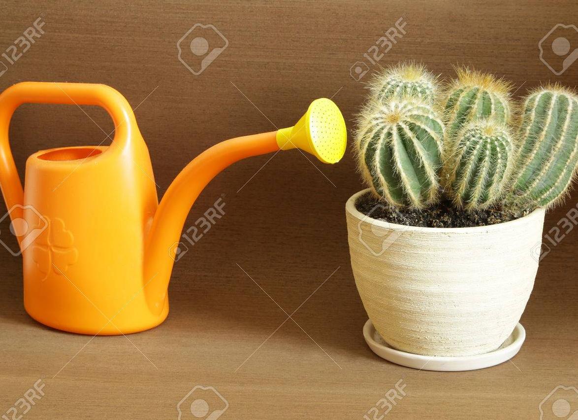 Вы можете привести лошадь к воде, но Вы не можете заставить ее пить — Портал Консультантов «Сибирского Здоровья» — «Команда Сибири»