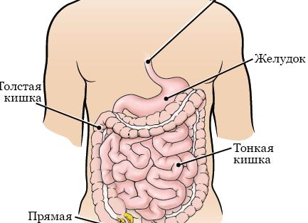 Организовано сообщество женщин, работающих в МЛМ!