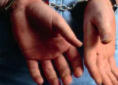 В Индии арестованы 8 дистрибьюторов QNET